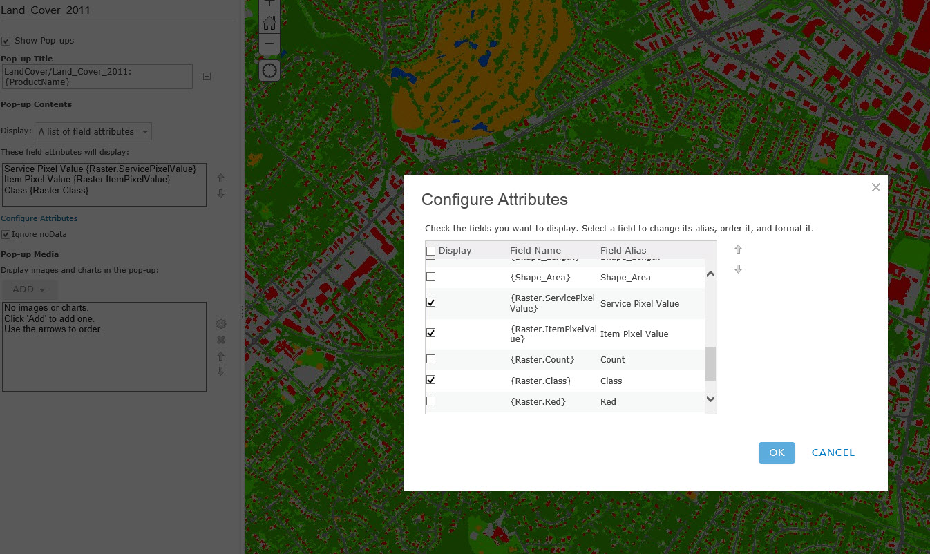 Land cover image service in ArcGIS Online
