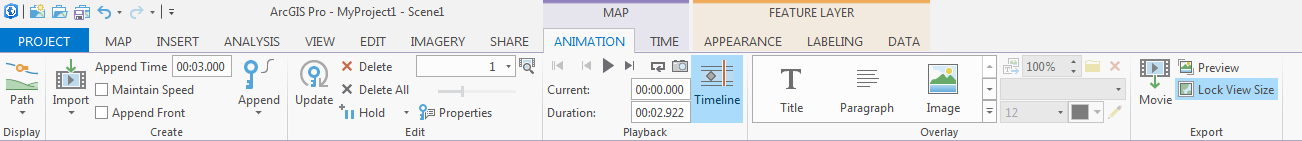Animation tab settings.