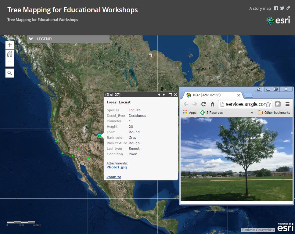 tree_mapping_storymap2.jpg
