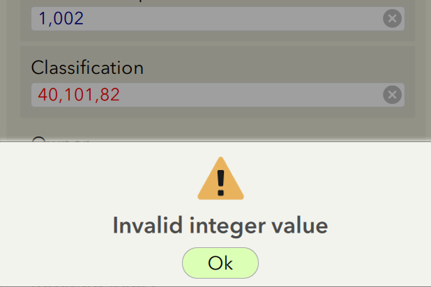 Invalid integer value