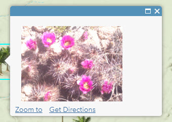 This image shows a custom pop-up with a photo of pink flowers found on the trail.