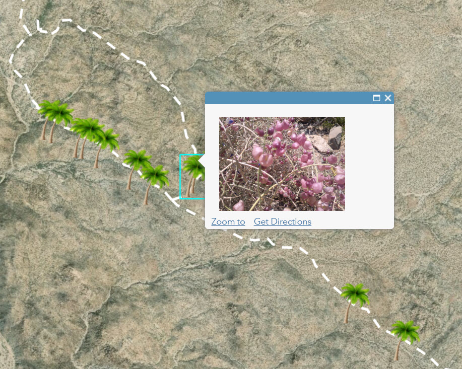 This image shows a web map with a custom pop-up displaying a photo of pink flowers found on the trail.