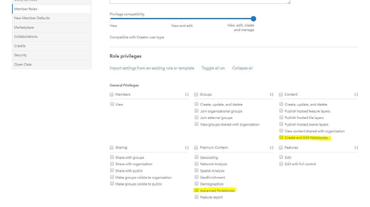 Image of the role privilege options for ArcGIS Notebooks.